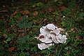DSC00985 - Bernhard Saalfeld