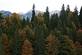 DSC00986 - Bernhard Saalfeld