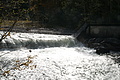 DSC01000 - Bernhard Saalfeld