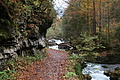 DSC01005 - Bernhard Saalfeld