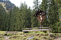 DSC01007 - Bernhard Saalfeld