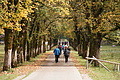DSC01008 - Bernhard Saalfeld