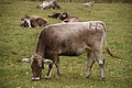 DSC01017 - Bernhard Saalfeld