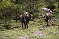 DSC01025 - Bernhard Saalfeld