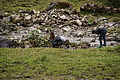 DSC01046 - Bernhard Saalfeld