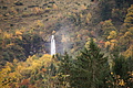 DSC01050 - Bernhard Saalfeld