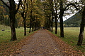 DSC01053 - Bernhard Saalfeld