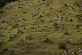 DSC01056 - Bernhard Saalfeld