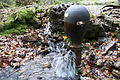 DSC01059 - Bernhard Saalfeld