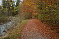 DSC01061 - Bernhard Saalfeld