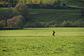 DSC01073 - Bernhard Saalfeld