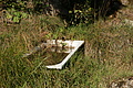 DSC01084 - Bernhard Saalfeld