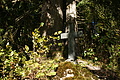 DSC01086 - Bernhard Saalfeld