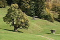 DSC01097 - Bernhard Saalfeld