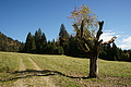 DSC01105 - Bernhard Saalfeld
