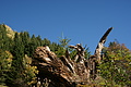DSC01109 - Bernhard Saalfeld