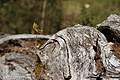DSC01112 - Bernhard Saalfeld