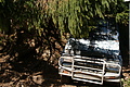 DSC01119 - Bernhard Saalfeld