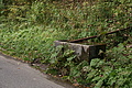 DSC01122 - Bernhard Saalfeld