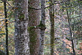 DSC01123 - Bernhard Saalfeld