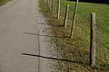 DSC01137 - Bernhard Saalfeld