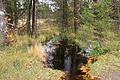 DSC01163 - Bernhard Saalfeld