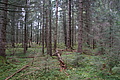 DSC01165 - Bernhard Saalfeld