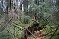 DSC01169 - Bernhard Saalfeld