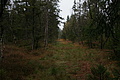 DSC01171 - Bernhard Saalfeld