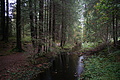 DSC01173 - Bernhard Saalfeld