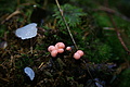 DSC01177 - Bernhard Saalfeld