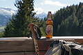 DSC01201 - Bernhard Saalfeld