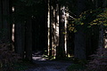 DSC01227 - Bernhard Saalfeld