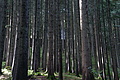 DSC01233 - Bernhard Saalfeld
