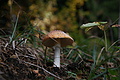 DSC01238 - Bernhard Saalfeld
