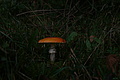 DSC01243 - Bernhard Saalfeld