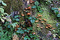 DSC01246 - Bernhard Saalfeld