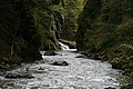 DSC09530 - Bernhard Saalfeld