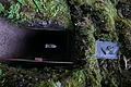 DSC09532 - Bernhard Saalfeld