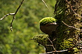 DSC09535 - Bernhard Saalfeld