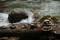 DSC09538 - Bernhard Saalfeld