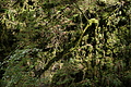 DSC09539 - Bernhard Saalfeld