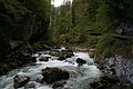 DSC09540 - Bernhard Saalfeld