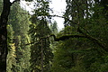 DSC09542 - Bernhard Saalfeld