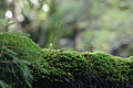 DSC09543 - Bernhard Saalfeld