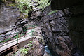 DSC09554 - Bernhard Saalfeld