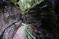 DSC09559 - Bernhard Saalfeld