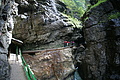 DSC09563 - Bernhard Saalfeld