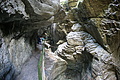 DSC09573 - Bernhard Saalfeld