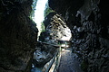 DSC09574 - Bernhard Saalfeld